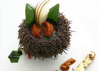Sea Urchin and Sour Apples with Kampot White Pepper