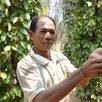 Chieng Voun - Kampot farmer3