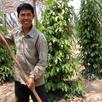 Eng Mean - Kampot farmer 